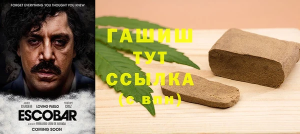 гидра Богородск