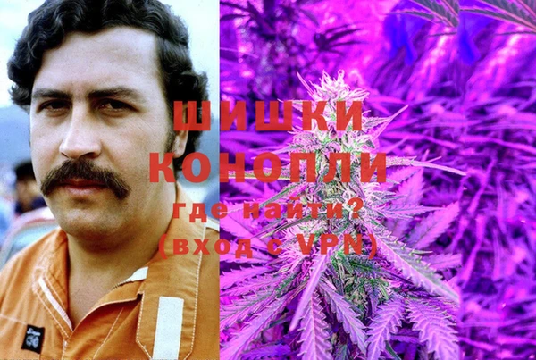 mdpv Богданович