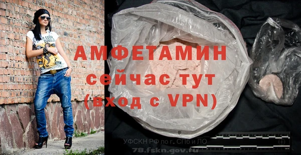 гидра Богородск