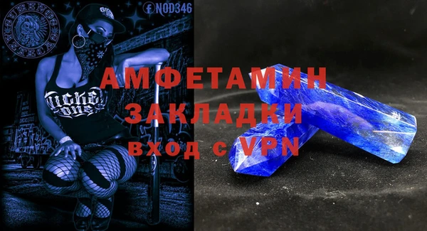 гидра Богородск
