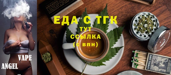 гидра Богородск